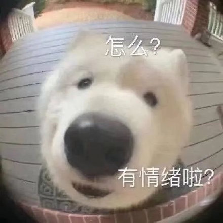 我爱看片 软件下载_人人字幕组历史_美剧字幕组