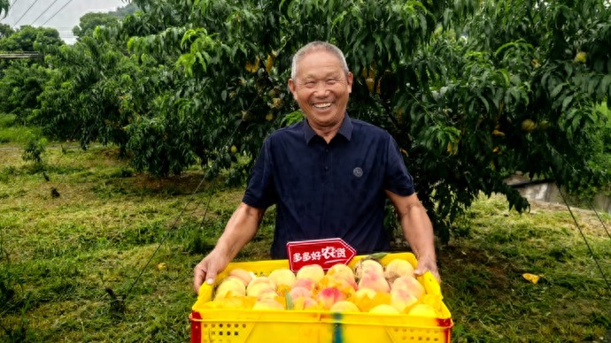 拼多多“百亿减免”助力商家提质增效