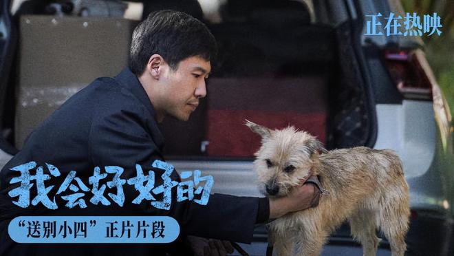 2025年十位霸屏男演员演技分析_霸屏演员演技排名_中国影视男演员图片带名字