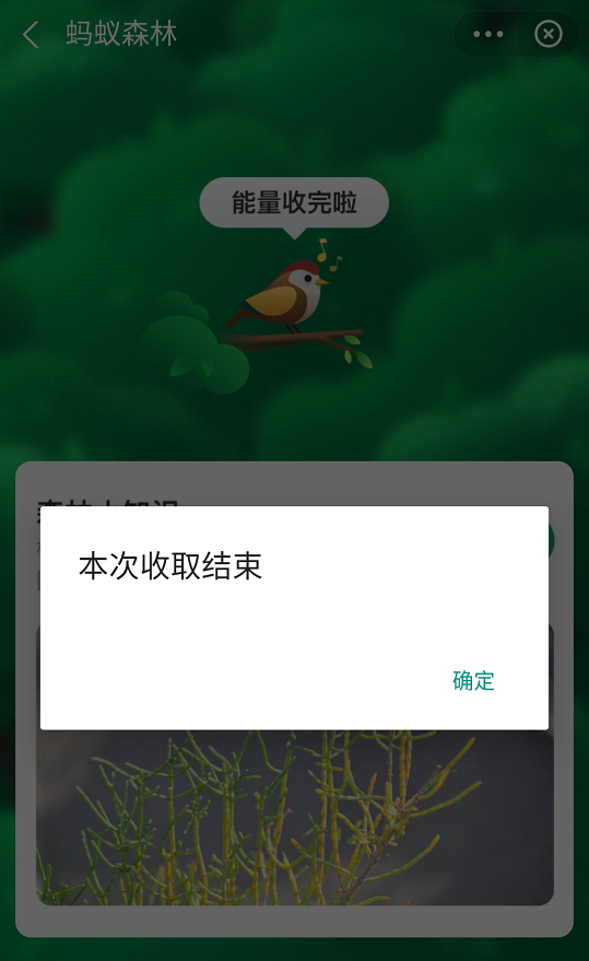 这个安卓自动化APP 我愿称它为神器!