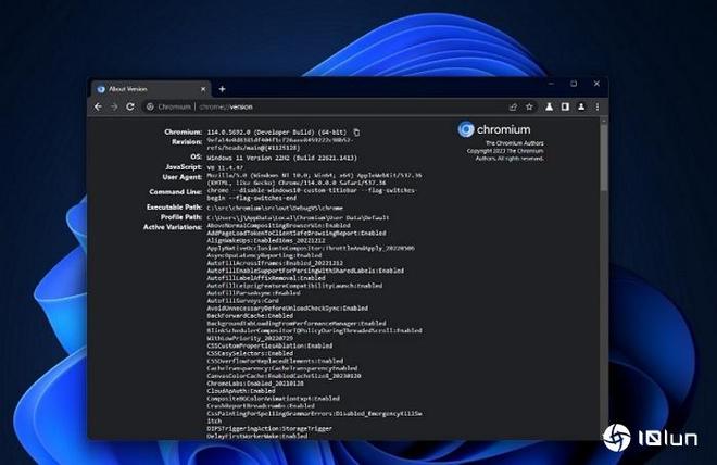 chrome自动子母画面_切换标签页自动PiP_谷歌不能自动播放视频