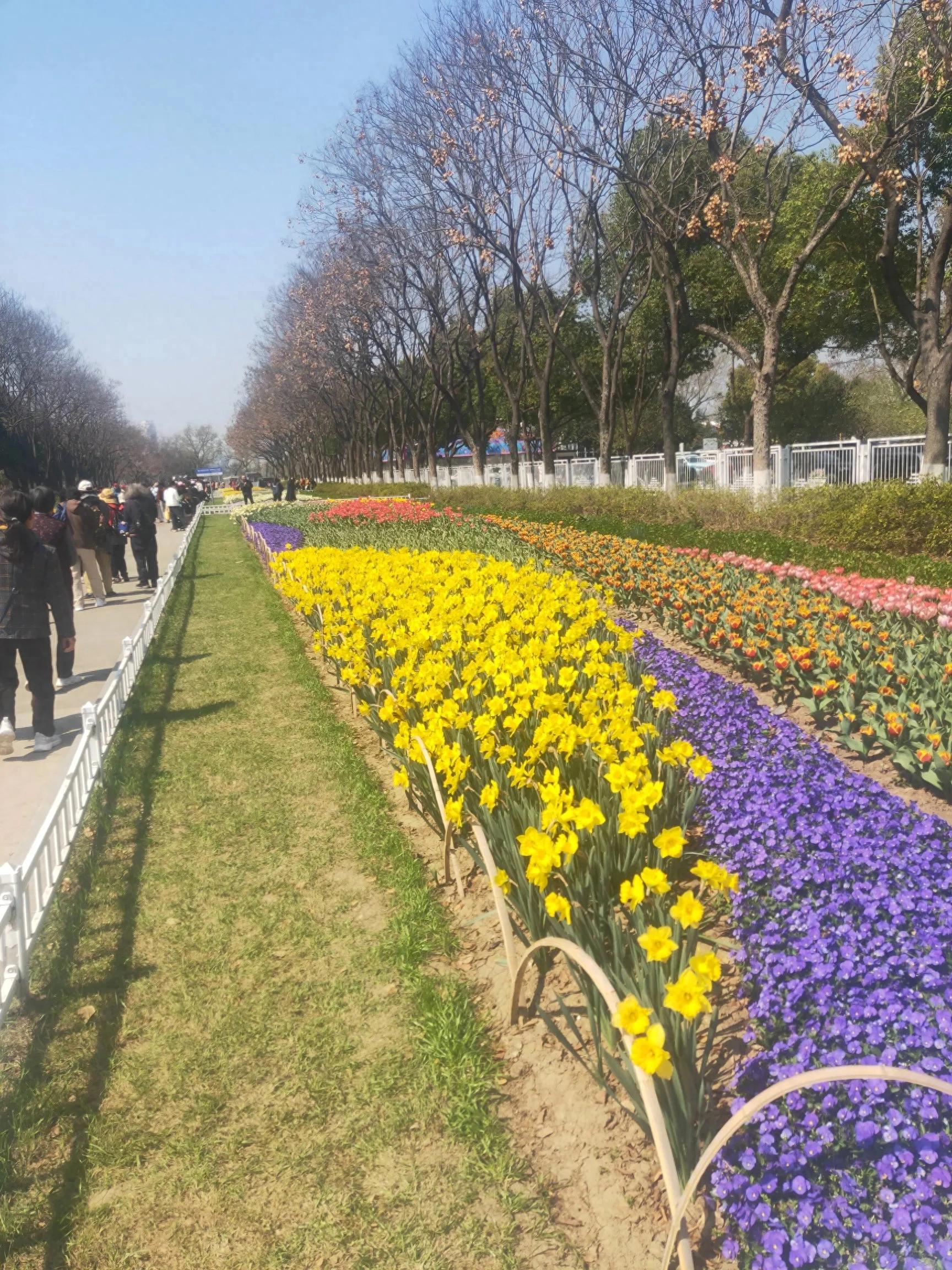 土耳其进行曲ppt下载_土耳其进行曲出自哪首钢琴曲_莫扎特土耳其进行曲赏析