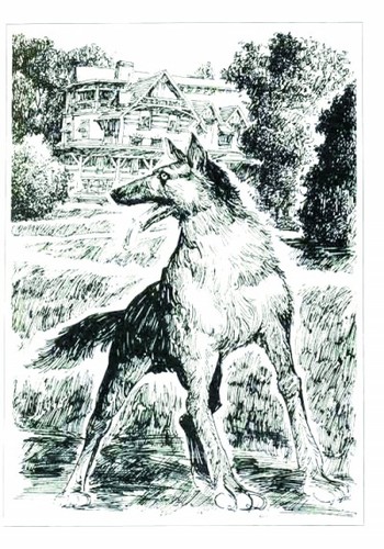 美国作家杰克伦敦是怎么死的_杰克伦敦 野性的呼唤 热爱生命