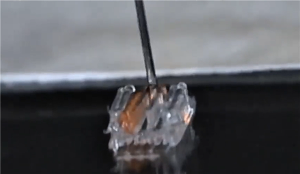 3d打印有什么用呢视频_美国明尼苏达大学3D打印技术 脊髓损伤干细胞修复_3D打印脊髓损伤修复研究