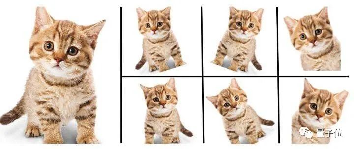 meme表情包自动生成器_卷积神经网络_情绪识别_文字表情生成器下载