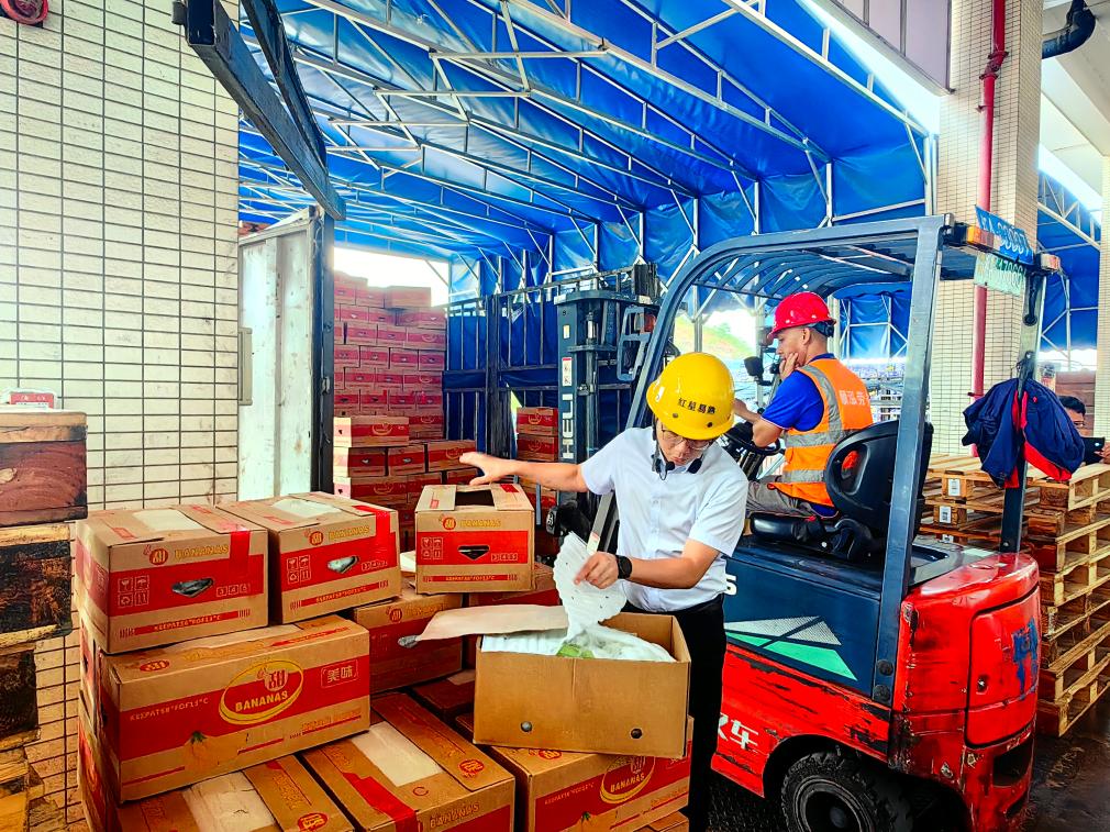 雾浴香蕉技术_记得香蕉成熟时下载_熟科技催熟香蕉