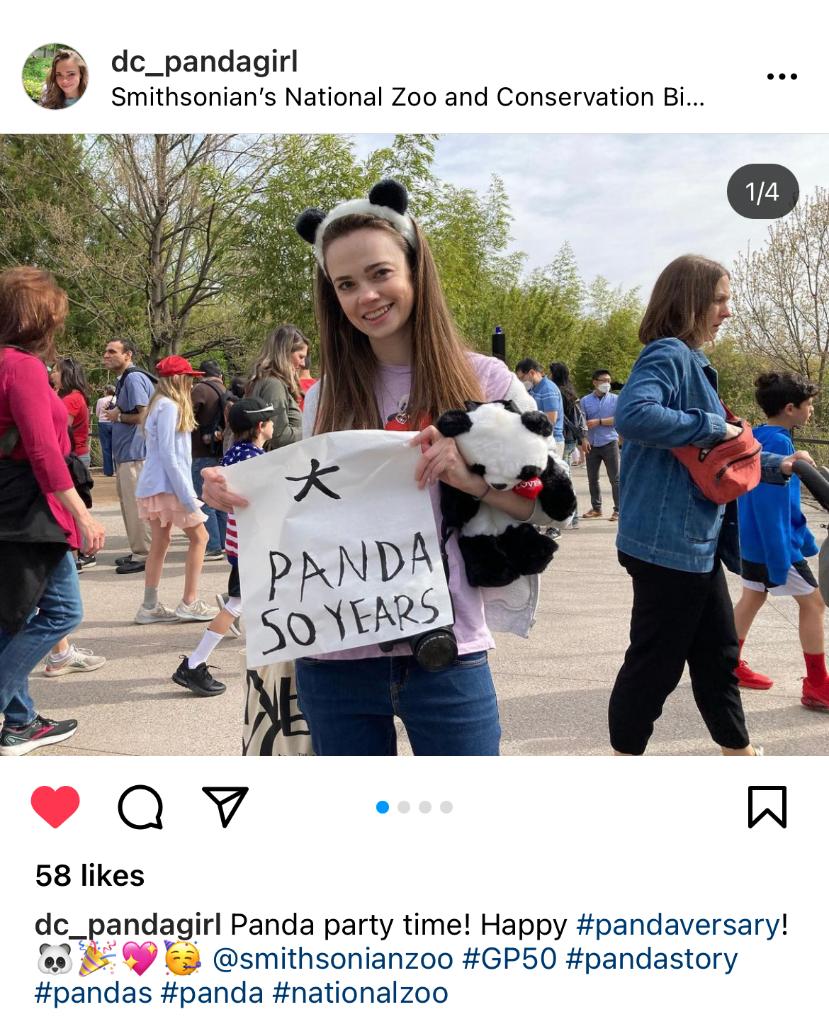 中美大熊猫保护合作_美国明星去看大熊猫_大熊猫抵美50周年