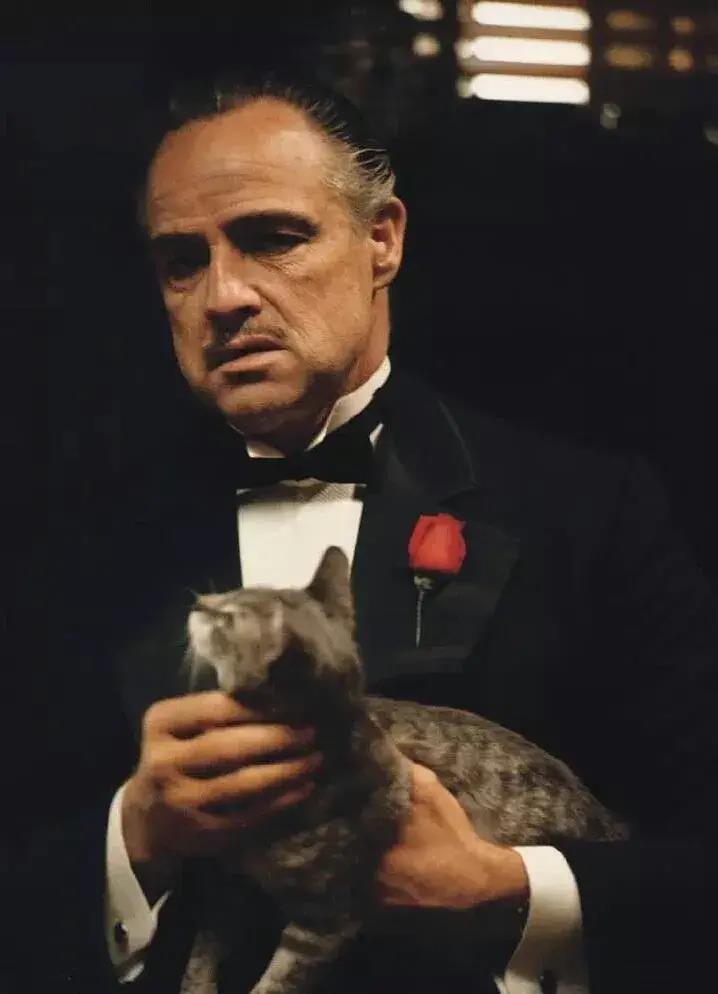 马龙·白兰度表演风格研究_马龙·白兰度演教父时多大年纪_马龙·白兰度演技创新