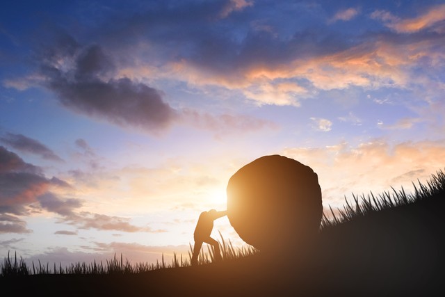你是自己命运的设计师下载_打破宿命论的自由意志_转业力改变人生轨迹