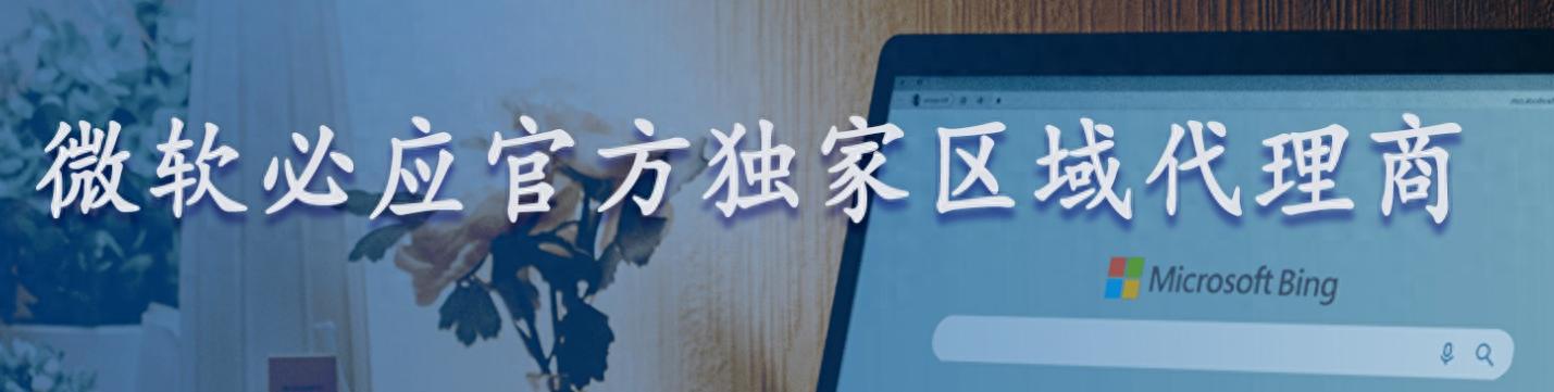 解读有实力的必应推广代理企业排名，上海智搜客科技榜上有名