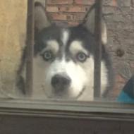 手机应用权限设置_谨慎授权应用权限_视频像册制作软件