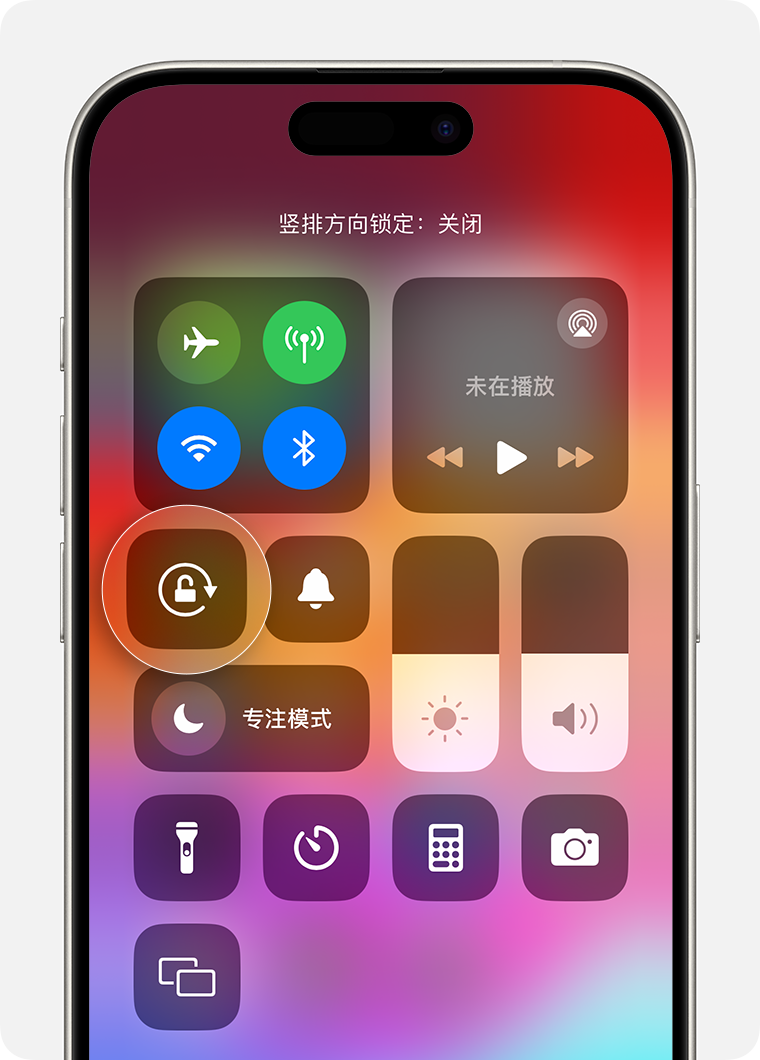 图像没有替换文本