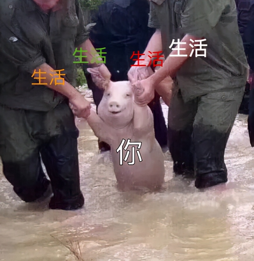  免费多平台互传软件 _跨设备文件传输工具 LANDrop _安卓手机连接电脑后