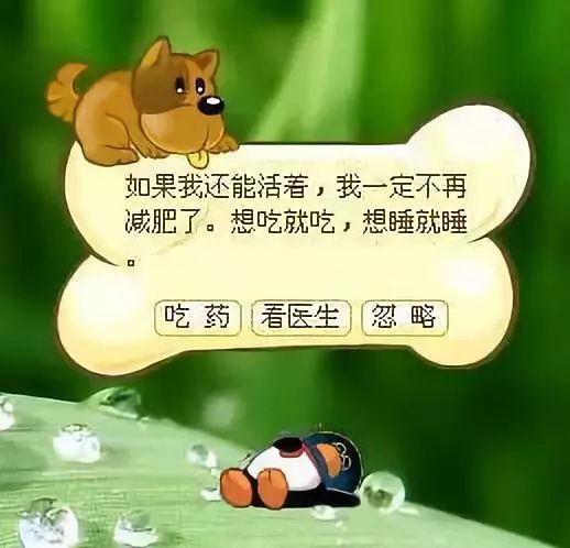 QQ宠物停运时间_qq宠物里的游戏还可以玩吗_QQ宠物回忆杀