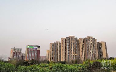 网上怎么查询房屋租赁证