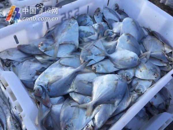 运输船跳箱子,cf运输船门前大箱子怎么跳?
