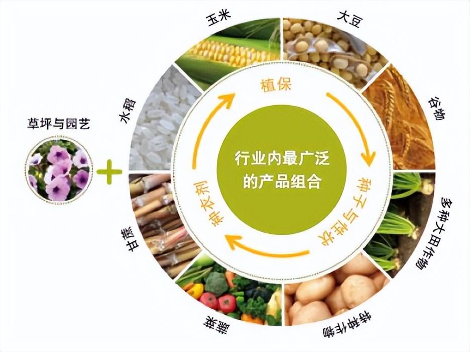 st远东,俄罗斯靠海的城市?