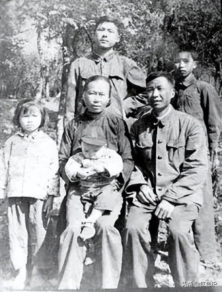 不掉血文件,电脑游戏流星蝴蝶剑的无限血怎样调?