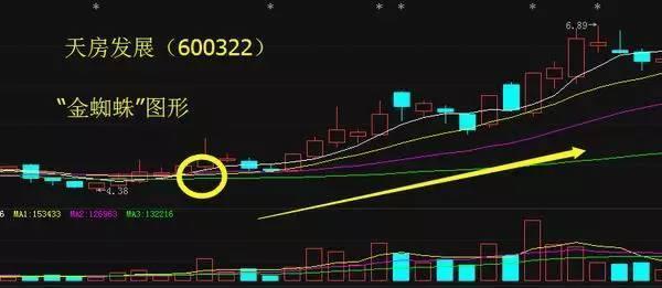 股神123,为什么身边炒股的亲朋都亏得一塌糊涂?