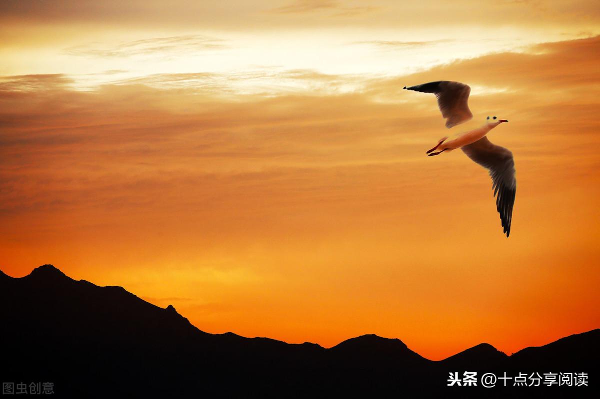 月光修炼场,DNF圣骑觉醒任务流程是什么