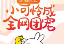 《参加综艺：小可怜成全网团宠》小说章节列表免费试读，顾萌萌夏天小说在线阅读-牛皮文学