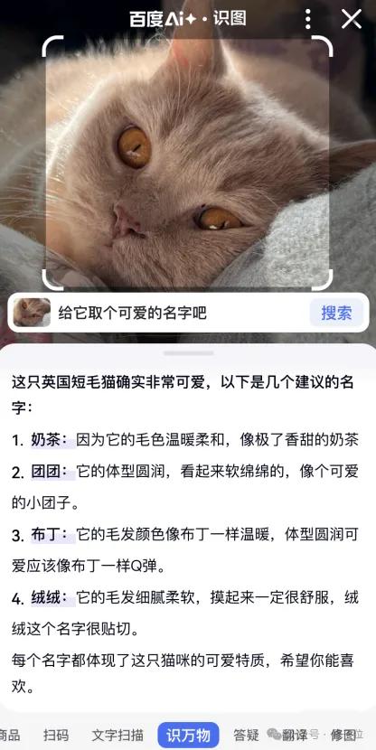 百度关键词扩展工具下载_百度搜索改版 AI智能框 全链路升级