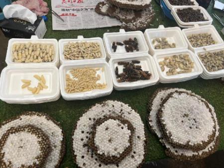 菜市场旅游_北京新源里菜市场官网_逛菜市场体验