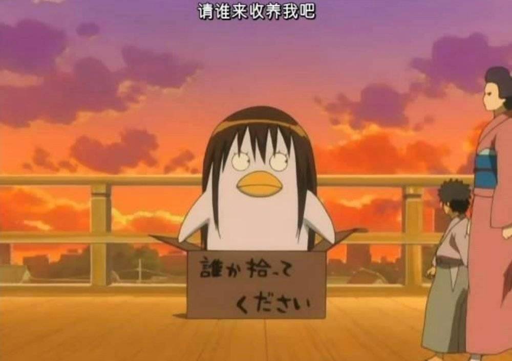 qq等级代挂平台哪个好_QQ用户年龄分布分析_为什么QQ比微信更受年轻人欢迎