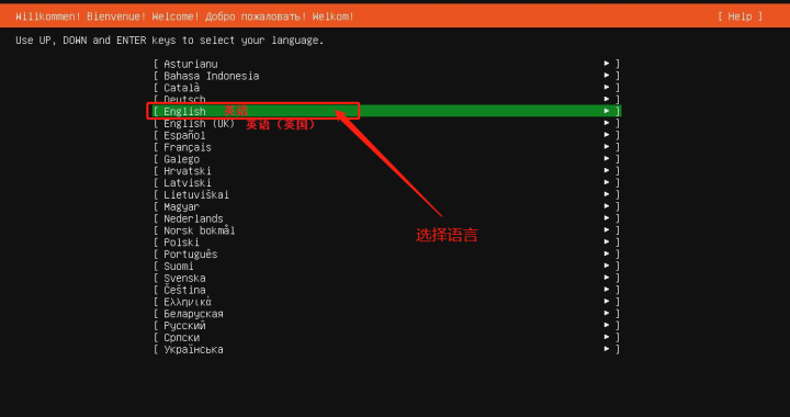 Linux Ubuntu服务器版安装教程_虚拟机配置教程_ubuntu安装后要做的事