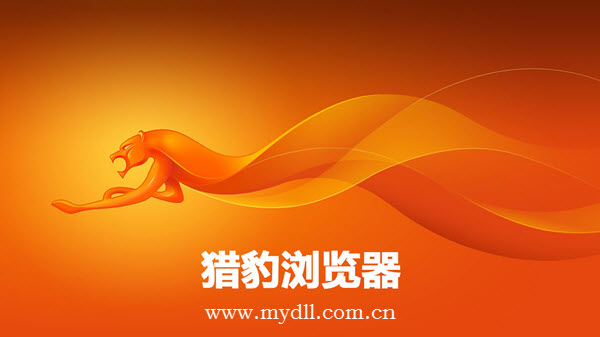 教你解决猎豹浏览器打不开的方法