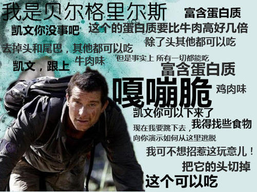 野外生存类游戏手机版_绿色地狱 游戏测评 CreepyJar开发