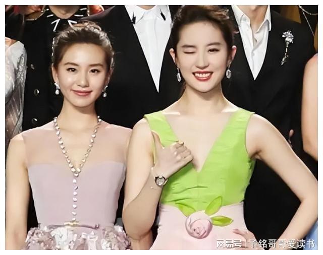 成龙替身钱嘉乐_替身演员_a计划给成龙替身的是谁