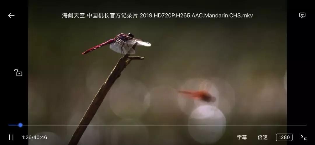 袋鼠下载磁力搜索功能_袋鼠下载app下载_手机用百度云看磁力