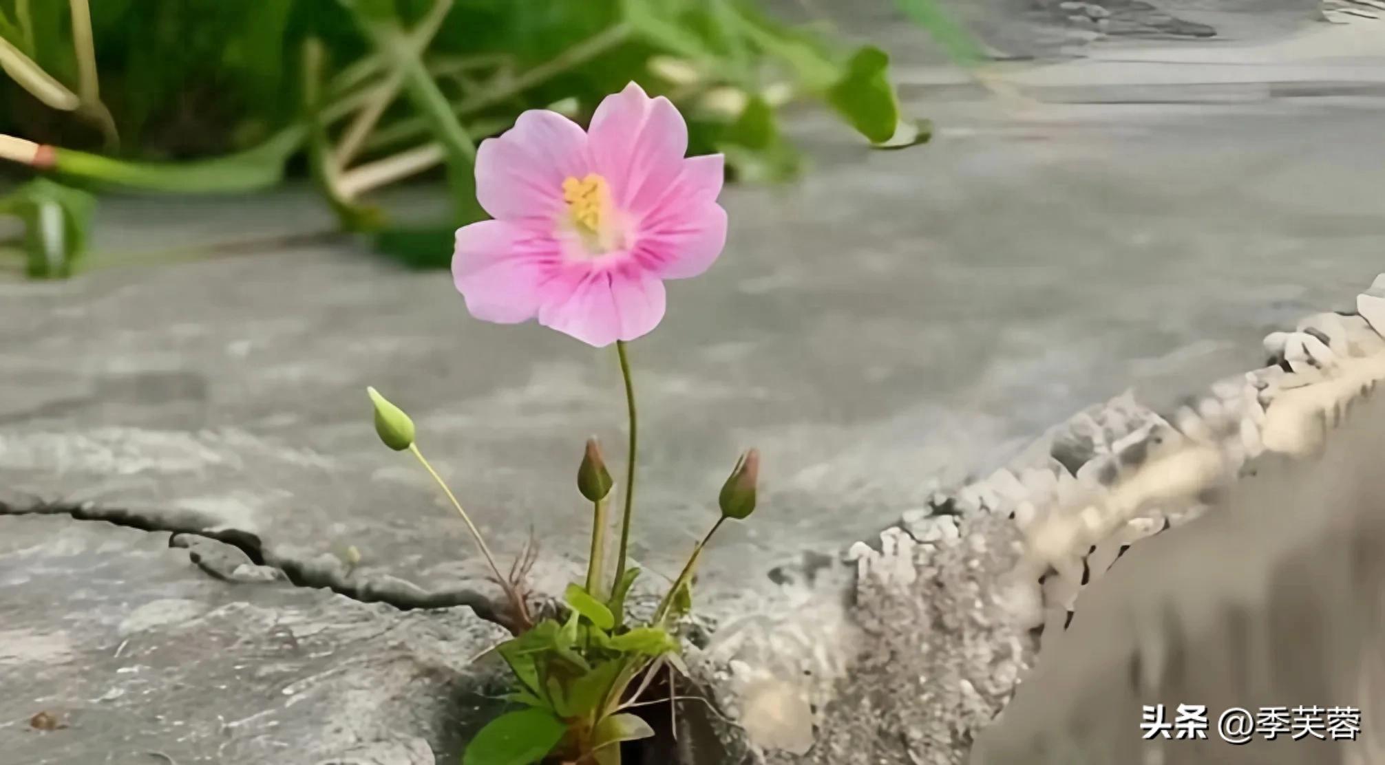 人生哲理句子_钱是万能的qq说说搞笑说说_知行合一的重要性