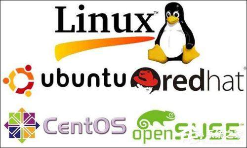 linux访问没有解析的网站_Linux发音_Linux标准读音