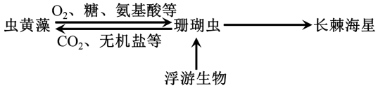 珊瑚白化现象_生态系统的信息传递素材图片_珊瑚礁生态系统