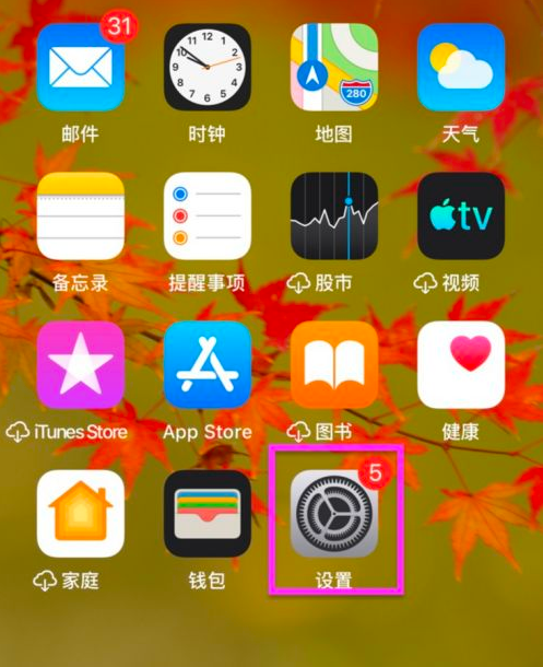 ios是否会压缩jpg格式_手机证件照格式要求_苹果手机照片格式转换JPG