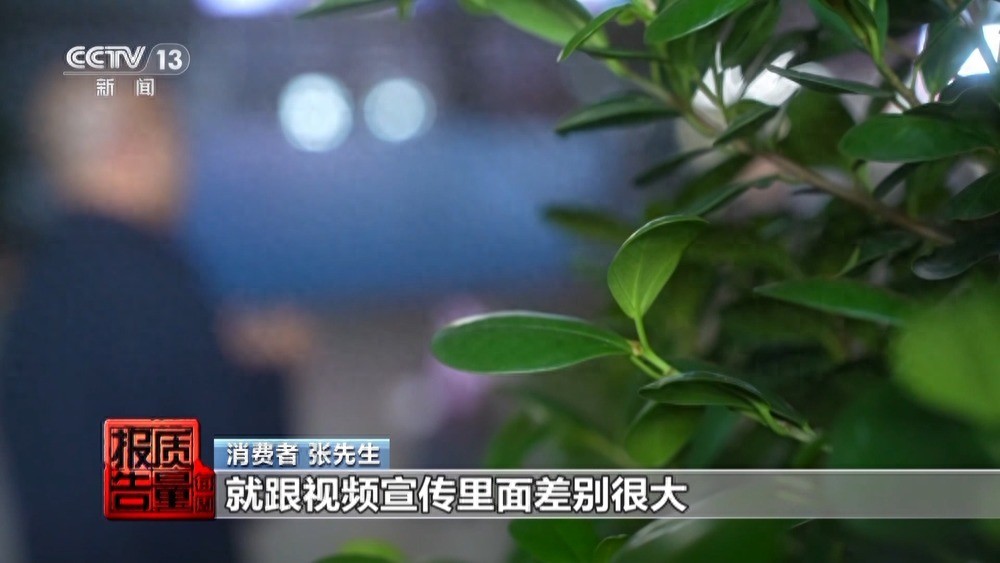 qq空间刷评在线平台_网购平台刷单行为_电商平台虚假买家秀