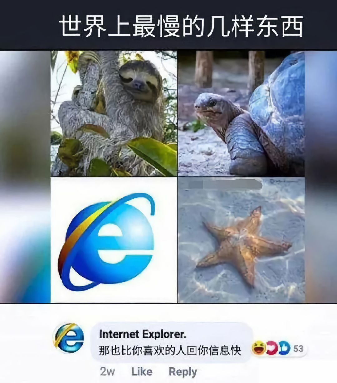 IE浏览器市场份额下降原因_ie浏览器有些网页打不开_IE浏览器停止服务