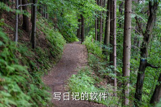 写日记的软件