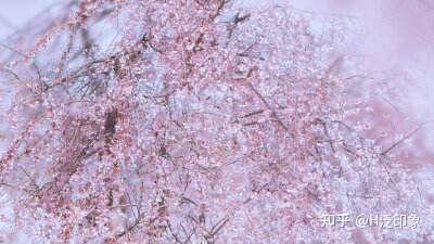 线上广告接单平台_公众号接CPC广告平台_公众号阅读接单平台