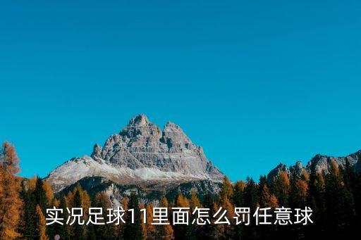 实况足球11里面怎么罚任意球