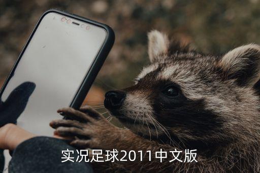 实况足球2011中文版