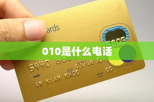 010是什么电话