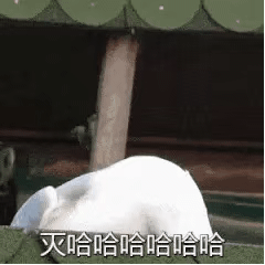 360安全卫士偷拍检测_微信小程序偷拍检测_网络摄像头安装图解用