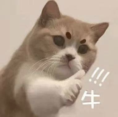 360安全卫士偷拍检测_网络摄像头安装图解用_微信小程序偷拍检测