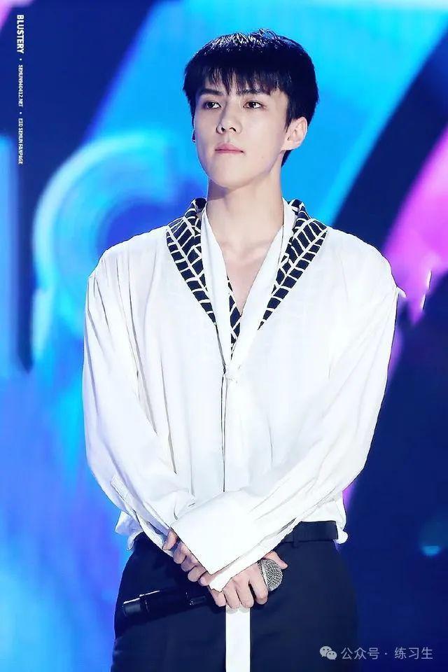 伯贤星探发现经历_exo要是没有kai会如何_EXO成员选拔过程