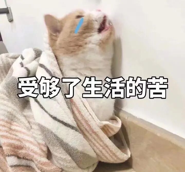 逃跑虽可耻但有用在线高清_考研压力大_逃避虽然可耻但是有用
