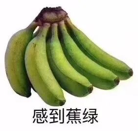 逃避虽然可耻但是有用_考研压力大_逃跑虽可耻但有用在线高清