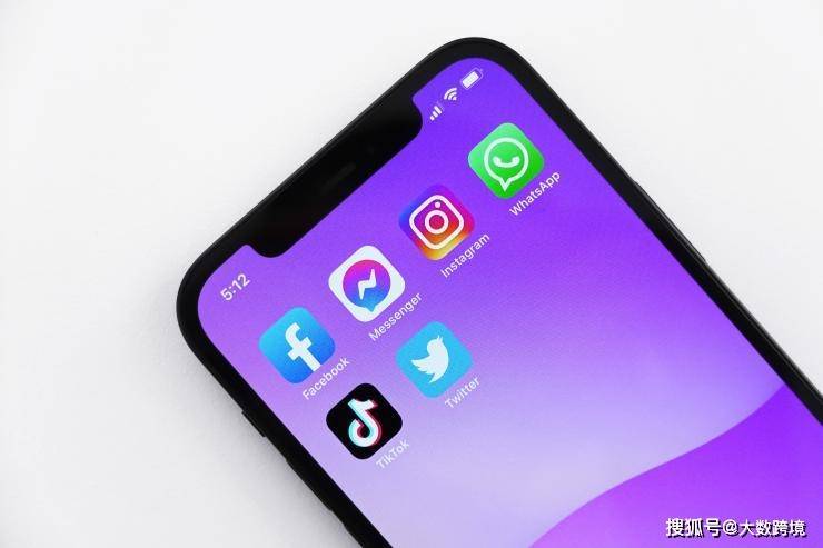 国内用户 国际社交网站_社交APP市场份额分析_社交类APP应用现状